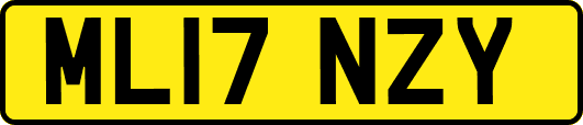 ML17NZY