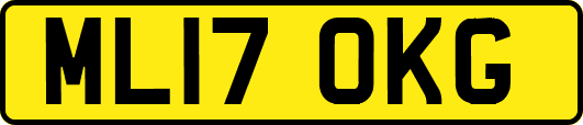 ML17OKG