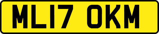 ML17OKM