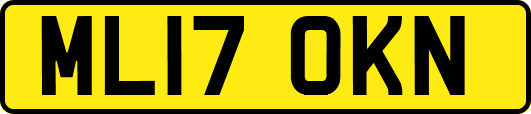 ML17OKN