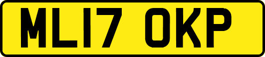 ML17OKP