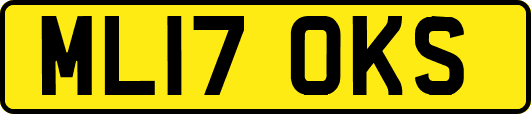 ML17OKS