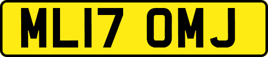 ML17OMJ