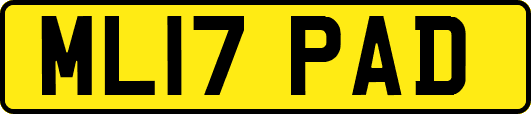 ML17PAD