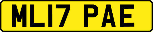 ML17PAE