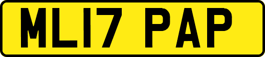 ML17PAP