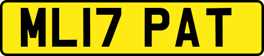ML17PAT