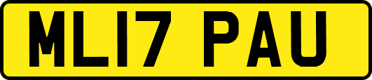 ML17PAU
