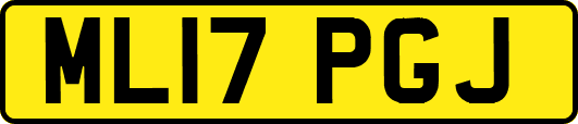 ML17PGJ