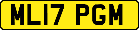 ML17PGM