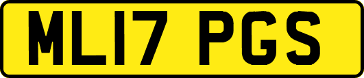 ML17PGS