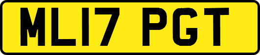ML17PGT