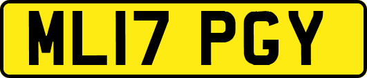 ML17PGY
