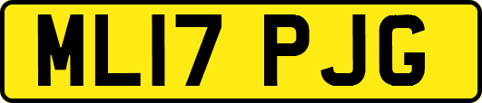 ML17PJG