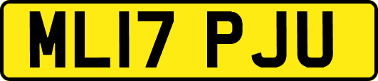 ML17PJU