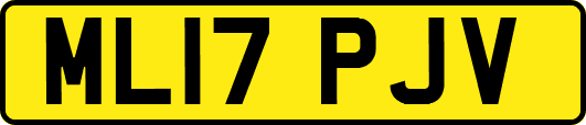 ML17PJV