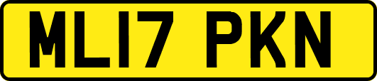 ML17PKN