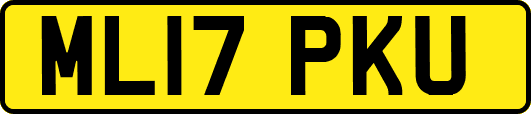 ML17PKU