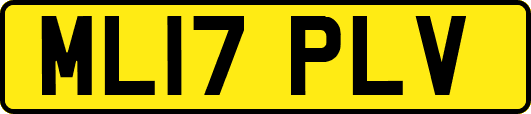 ML17PLV