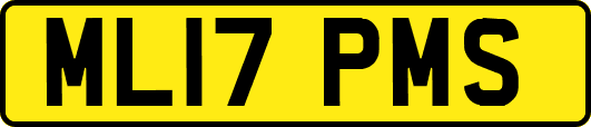 ML17PMS