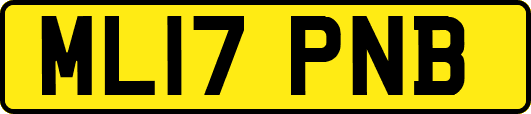 ML17PNB