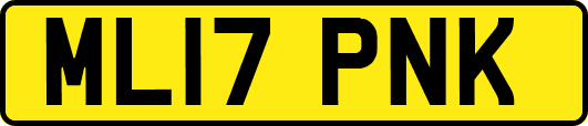 ML17PNK