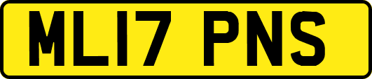 ML17PNS