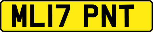 ML17PNT