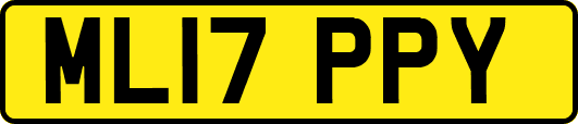 ML17PPY
