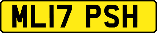 ML17PSH
