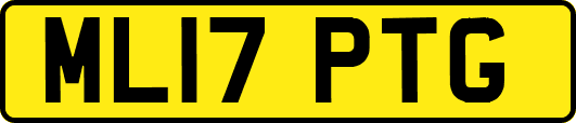 ML17PTG