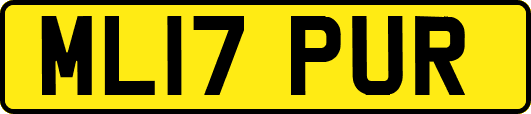 ML17PUR