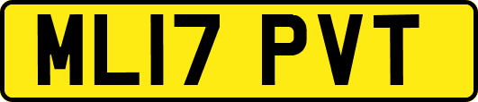 ML17PVT