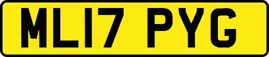 ML17PYG