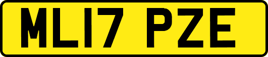 ML17PZE