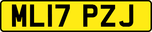 ML17PZJ