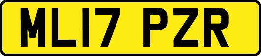 ML17PZR