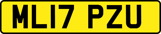 ML17PZU