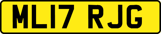 ML17RJG