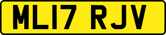 ML17RJV