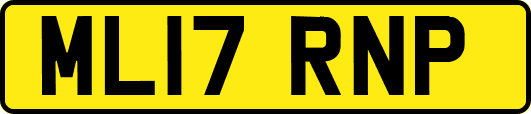 ML17RNP