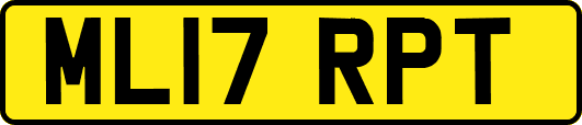 ML17RPT