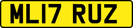ML17RUZ