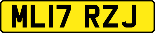 ML17RZJ