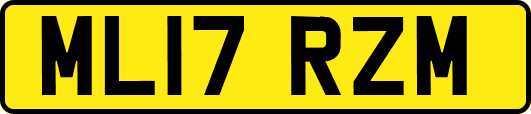 ML17RZM