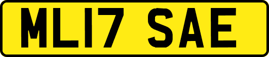 ML17SAE