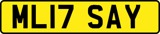 ML17SAY
