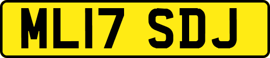 ML17SDJ