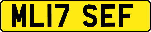 ML17SEF