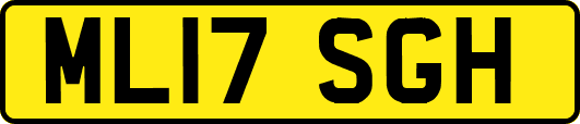 ML17SGH